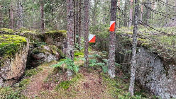 Kjekstadmarka